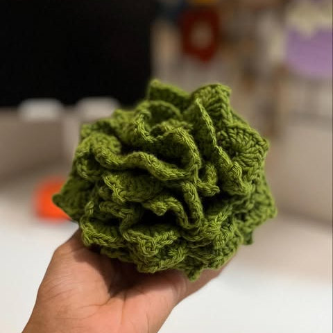 Succulent Coaster Set Crochet Pattern