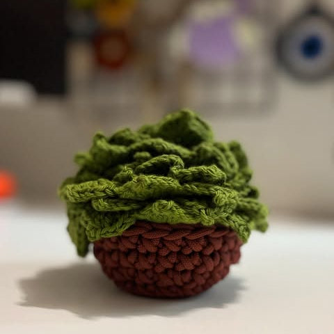 Succulent Coaster Set Crochet Pattern