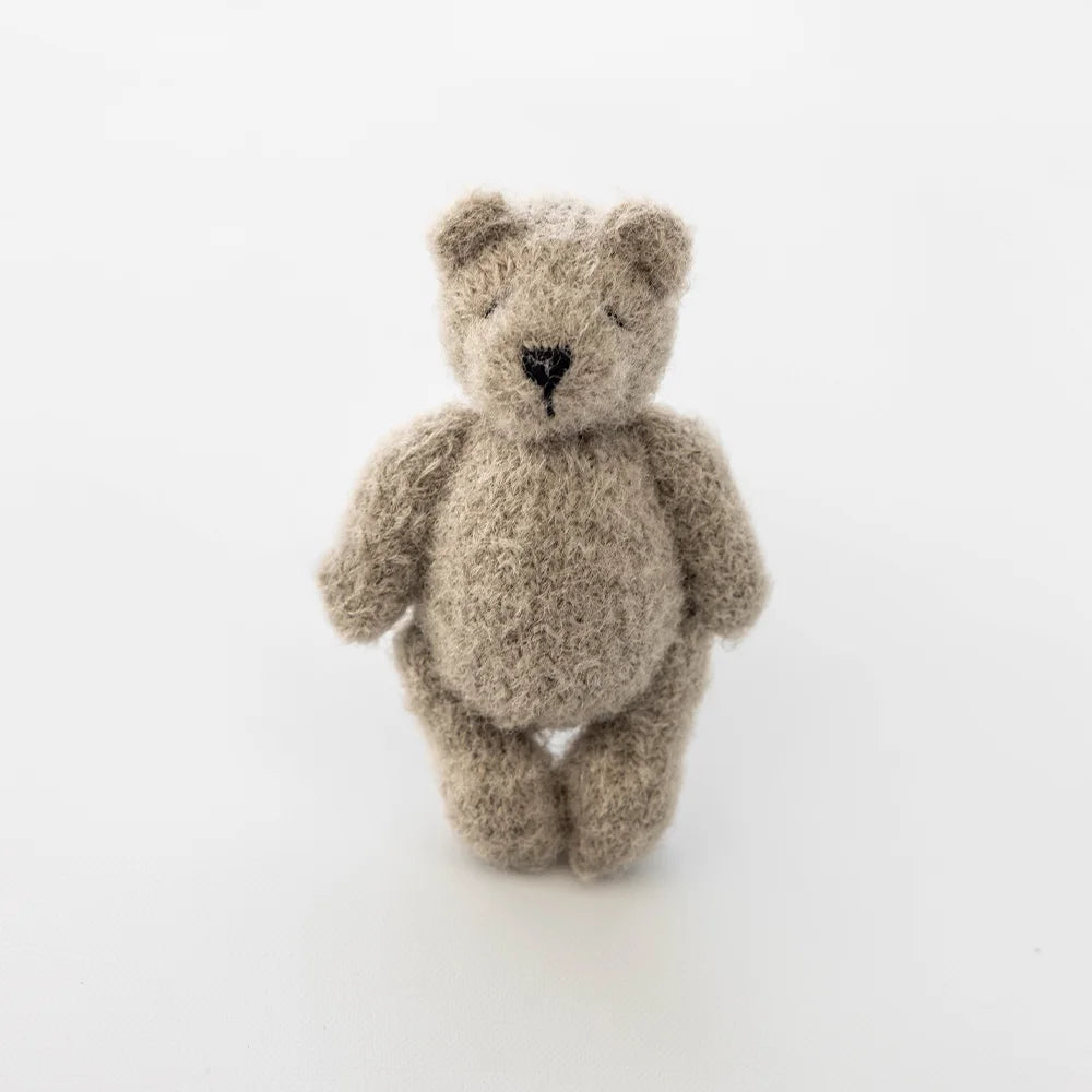 Teddy Bear Crochet Photo Prop