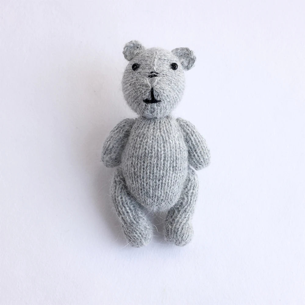 Teddy Bear Crochet Photo Prop