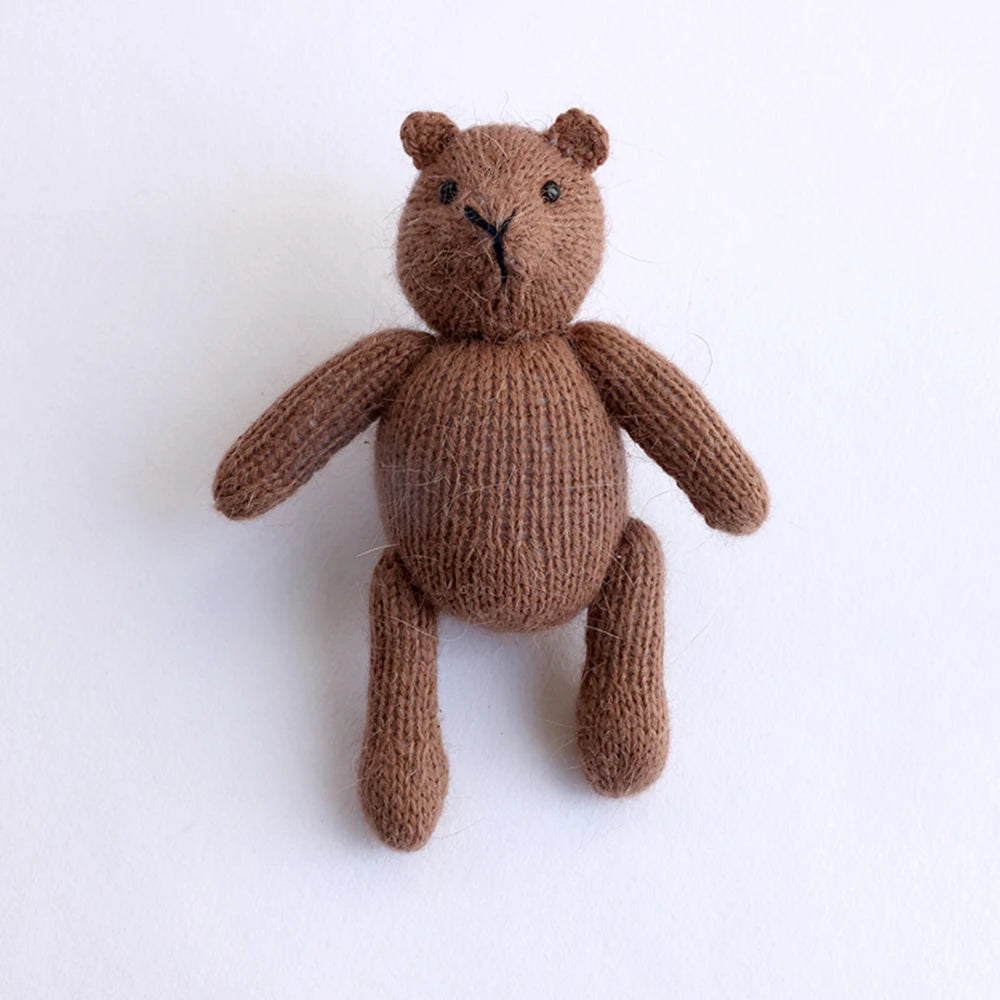 Teddy Bear Crochet Photo Prop