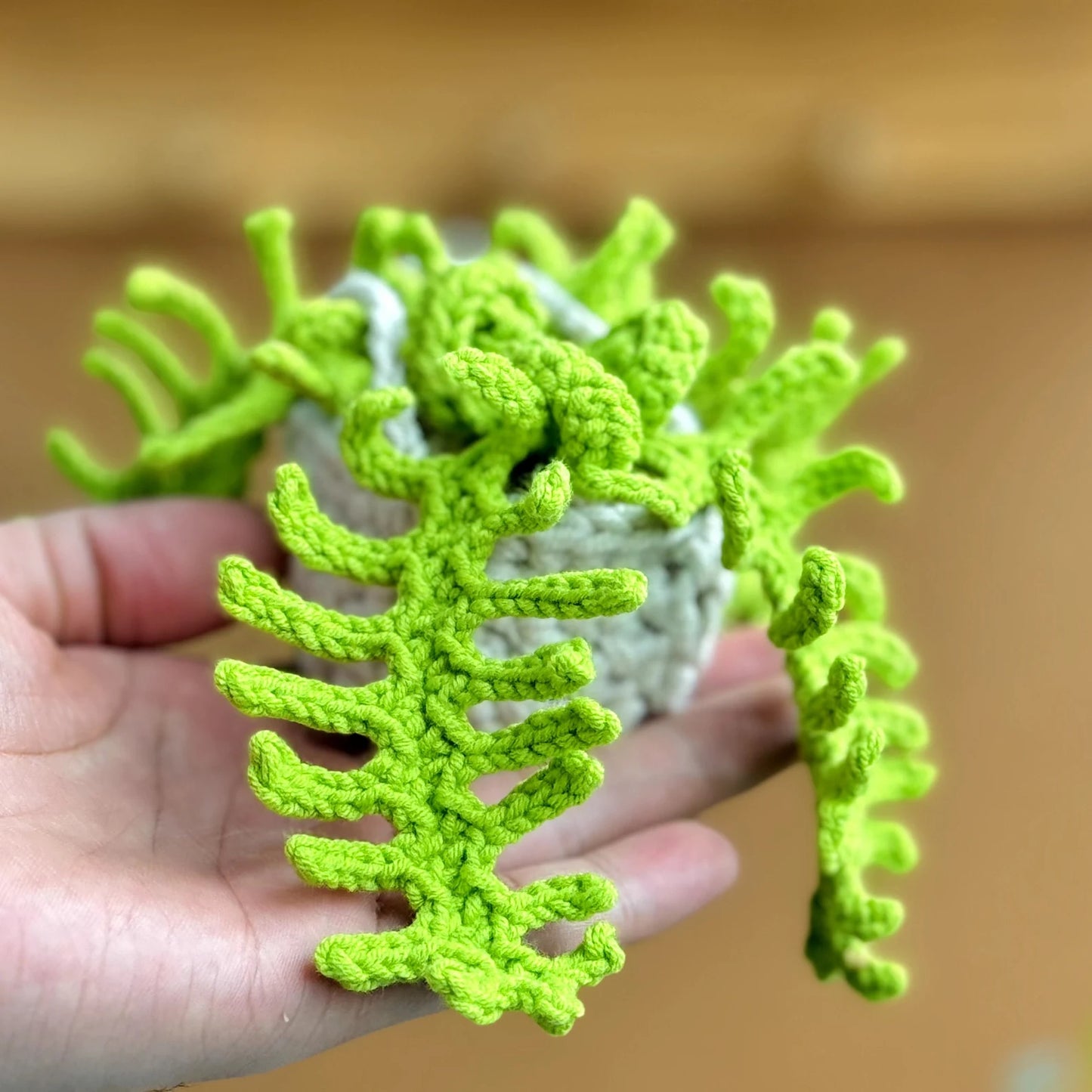 Fern Hanging Crochet Pattern