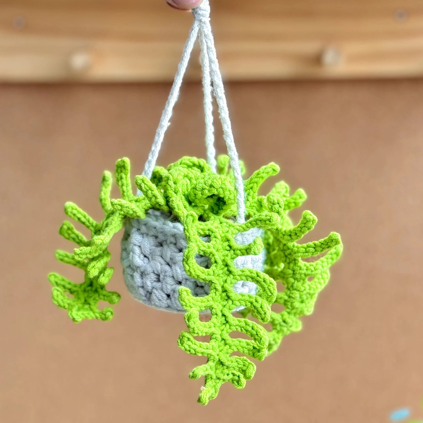 Fern Hanging Crochet Pattern