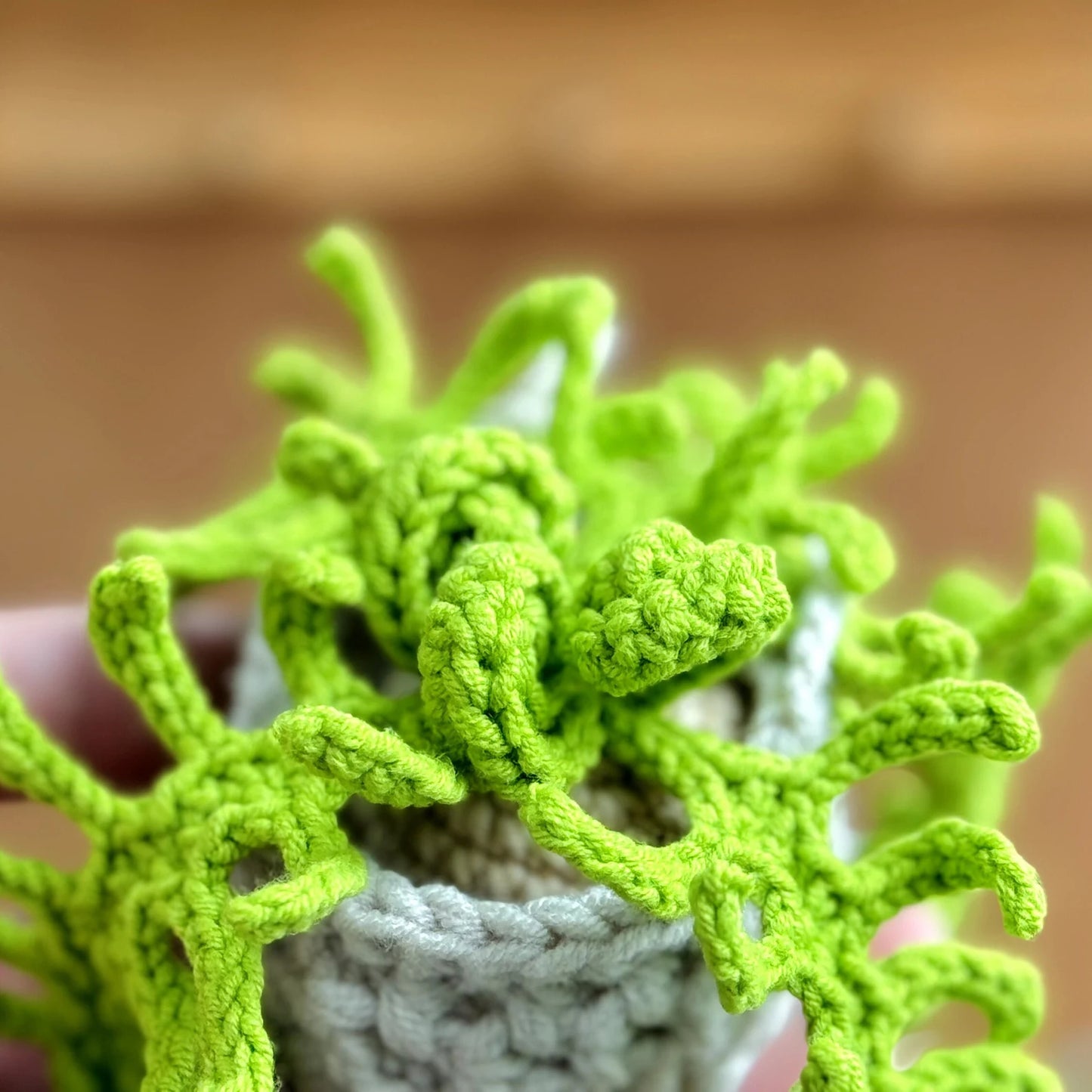 Fern Hanging Crochet Pattern