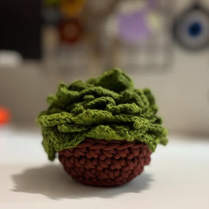 Succulent Coaster Set Crochet Pattern