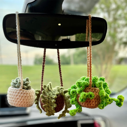 3 in 1 Car Hanging Plant Crochet Pattern