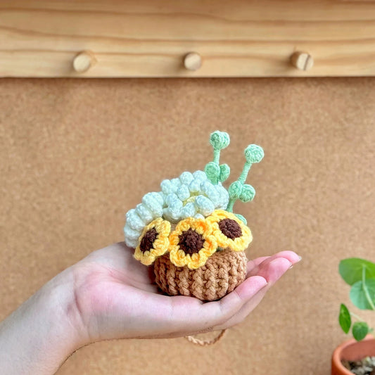 Sunny & Daily Hanging Crochet Pattern