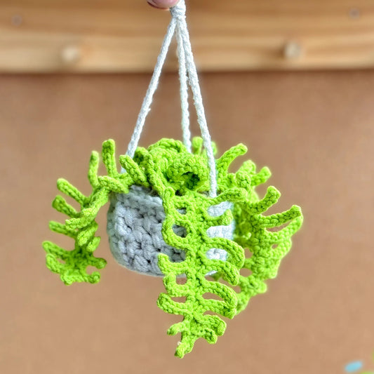 Fern Hanging Crochet Pattern